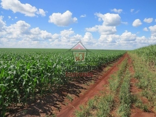 Imagem 2 de 14 de Fazenda À Venda 1.450 Há Em Dourados/ms - Fa0138