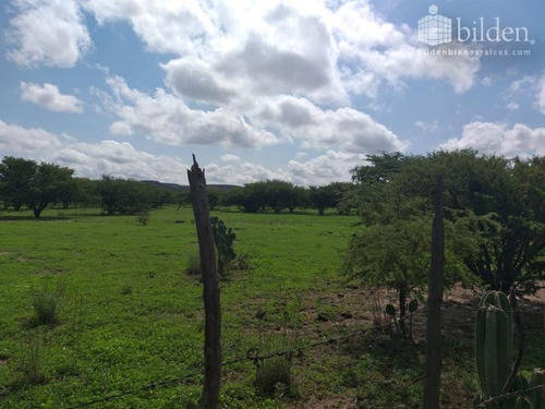 Imagen 5 de 6 de Terreno En Venta Morcillo