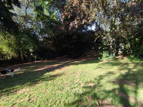 Imagen 11 de 25 de Arriendo Con Compromiso De Compra/ Gran Terreno/ Campanario