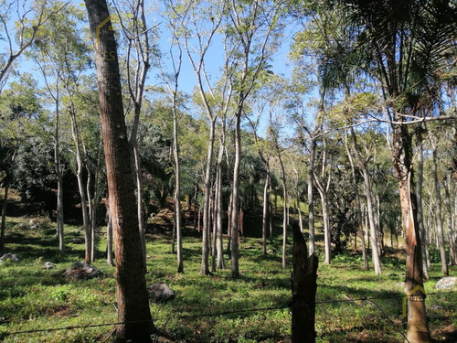 Se Vende Terreno En La Concepción Veracruz
