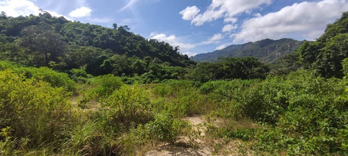 Imagen 10 de 12 de Finca En Venta Mina De Arena El Cambur. Estado Carabobo