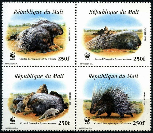 Fauna - Wwf - Puercoespín Crestado - Mali - Serie Mint