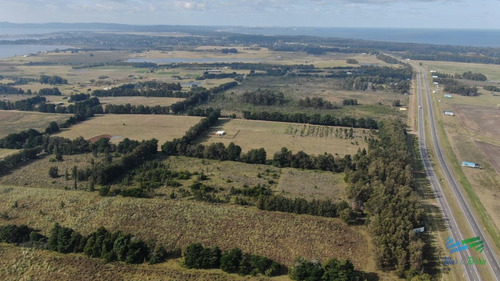 Imagen 3 de 17 de Única Chacra Con Producción De Arándanos En Laguna Del Sauce - Zona Rural Zona Rural