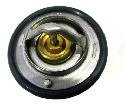 comprar Termostato Byd F0 