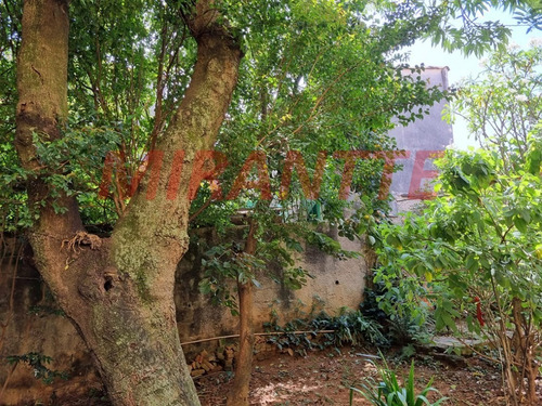 Imagem 3 de 14 de Casa Terrea Em Vila Romero - São Paulo, Sp - 369293