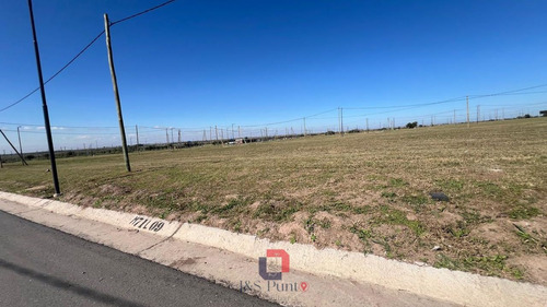 Lote En Docta Central
