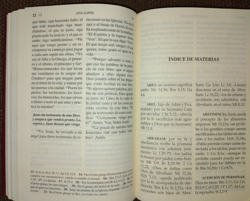 Nuevo Testamento. Felipe Scio De... Excelente Estado! (Usado)