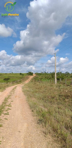 Imagem 13 de 15 de Fazenda À Venda Em São Felix Do Xingu - Pa - 2.904 Hectares (dupla Aptidão) - 2033