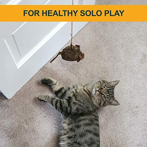 Our Pets Play-n-squeak Batting Practice Juguete Interactivo
