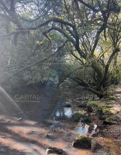 Campo Garzón Ganadero Forestal