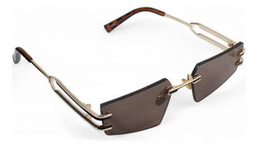 Lentes De Sol Diseño Vanguardista Elegante Unisex Carey Café Café Dorado