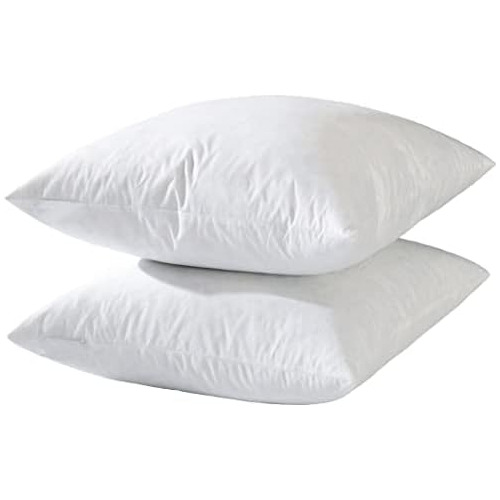 20x20 Cojín Decorativo Insertos-down Feather Pillow In...