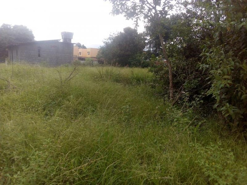 Imagem 8 de 8 de Terreno Para Venda Em Magé, Jardim Da Paz - Mauá - Terrenove_1-1016613