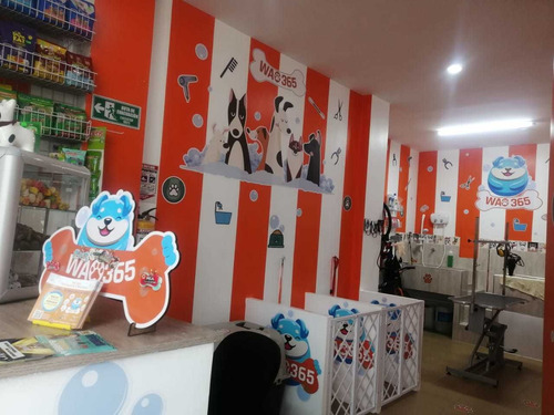 Imagen 2 de 7 de Peluquería Canina, Peluquería Para Perro