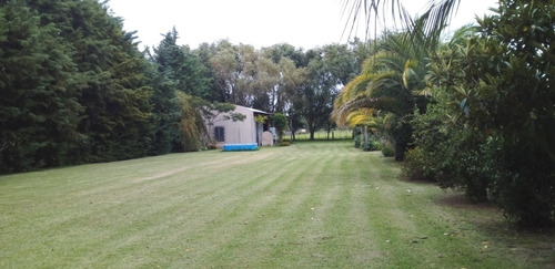 Imagen 1 de 8 de Mercedes - Campo De 6 Has. Con, Galpón Y Arboleda - Oportunidad Retasado
