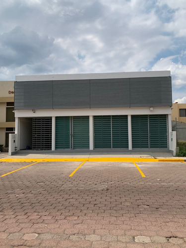 Local Comercial Bodega Doble Altura Constituyentes Pte. Pueblo Nuevo