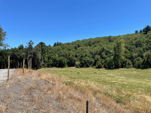 Imagen 7 de 10 de Parcela En Yumbel De 15.000m2