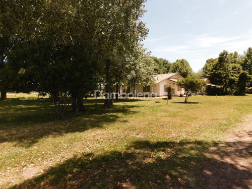 Imagen 3 de 22 de Terreno Campo En Venta Ubicado En General Rodríguez, G.b.a. Zona Oeste
