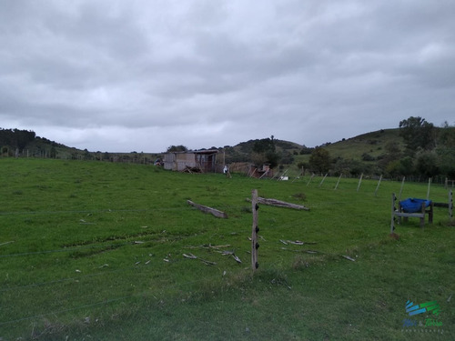 Imagen 17 de 30 de Vendo Excelente Chacra De 39 Hectáreas Para Granja Turística O Tambo, Aigua, Punta Del Este - Aiguá Aiguá