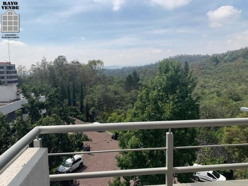 Imagen 5 de 7 de Casa En Venta Y Renta En Jardines En La Montaña