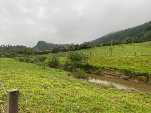 Chácara 19.000 M² - Santa Cruz - Gravataí - Rs - 2447 - 68463646