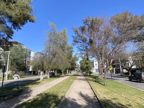 Nvo. Salida A Jardín, 2d/2b, 60 M2, Estacionamiento Y Bodega