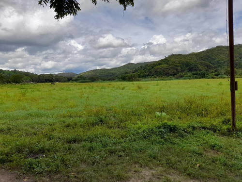 Imagen 8 de 30 de Finca En Guigue, 35 Hectareas. 5610462