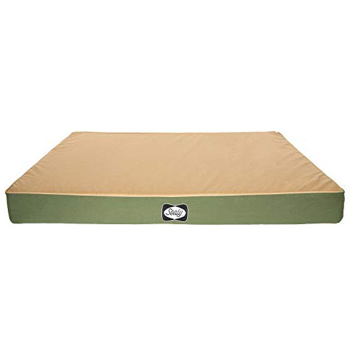 Sealy Dog Bed Defender Series, Cama Para Perro Para Interior