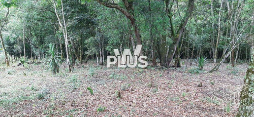 Imagem 17 de 20 de Chácara Em São Roque Bairro Pavão (canguera) - V7105
