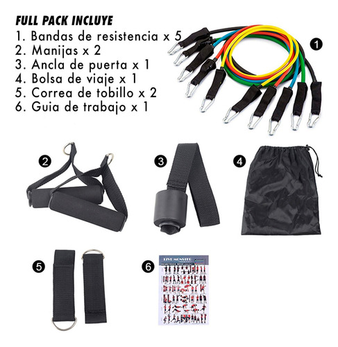 Set 5 Bandas Elasticas Intercambiables 1.15 Latex Fitness