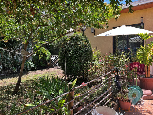Linda Casa En Tranquila Calle, 3d 2b + Servicios, Ñuñoa