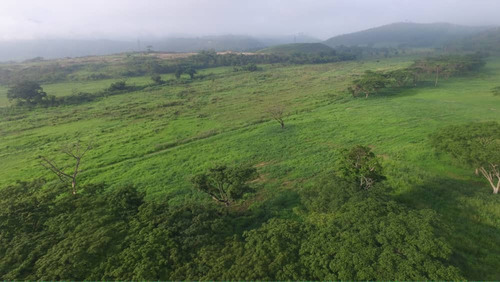 Finca 58 Hectareass, 90% Plana , Agua, Electricidad , Documentos En Bejuma Carabobo 2
