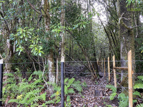 Terreno De 3 Hás A Orilla De Carretera - Polincay