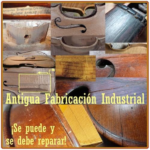 Imagen 3 de 10 de Evaluación & Tasación De Viola Antigua - Prof. Dmitry Rodnoy
