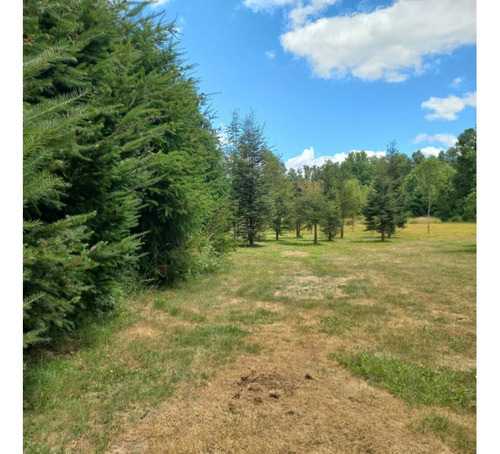 Venta / 2 Parcelas Molco - Una Con Casa / Ambas O Separadas