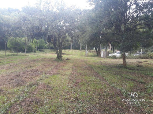 Imagem 13 de 16 de Chácara À Venda, 31000 M² Por R$ 600.000,00 - Cachoeira - São José Dos Pinhais/pr - Ch0066