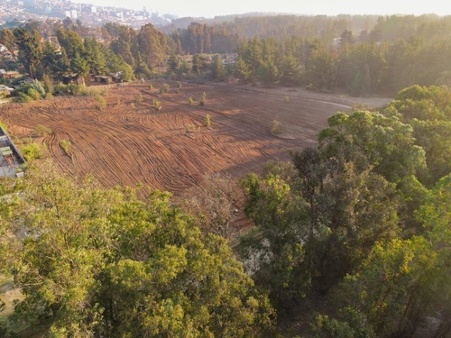 Sector Los Pinos, Reñaca. Terreno En Condominio Cerrado