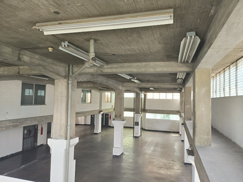 Alquiler Local Industrial Mas Mezzanina Doble Altura En Palo Verde En Piso Tg