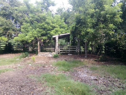 Venta Rancho Ganadero 100 Hectáreas Tamiahua Veracruz