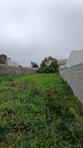 Lote Zona Garrigo Y Ohiggins