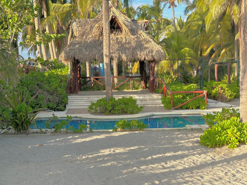 Acapulco  Casa Playa Encantada ...súper Promoción Invitamos A Una Pequeña Y Amigable Mascota Y Te Regalamos Una Fogata En La Playa  Para Que Se La Pasen ¡¡¡como En Casa...pero, Con Playa...!!!