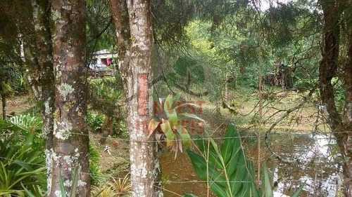 Imagem 2 de 7 de Chacara - Ref: 5238 - V-5238