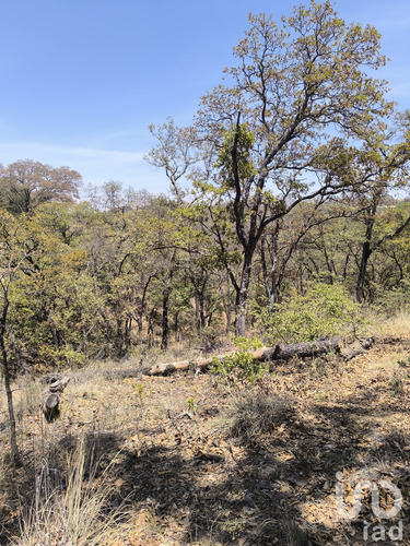Venta Terreno 0 Ambiente La Piní