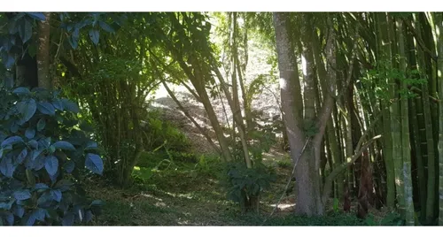L-263 (venta Lote, Sector Rionegro)