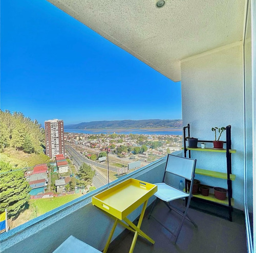 Departamento Amoblado En Ariendo, Concepcion, Parque Ecuador