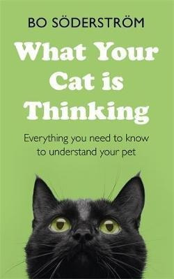 What Your Cat Is Thinking : Everything You Need To Know To U