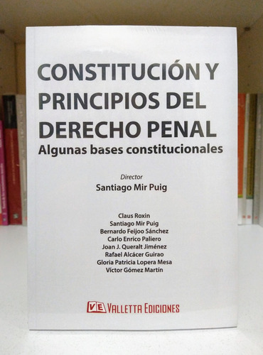 Constitución Y Principios Del Derecho Penal. Mir Puig