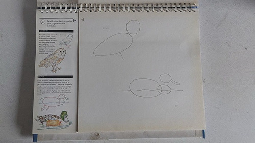 Libro Cómo Dibujar Ed. Albatros Dibujo Libro Atril