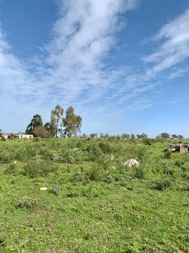 En Venta Chacra En Salto. Ruta 3 ¡atención Inversores Y Empresarios!