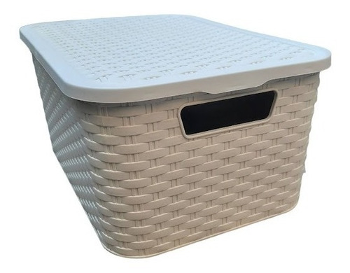 Set X2 Caja Organizador Multiuso Platico Estilo Rattan 